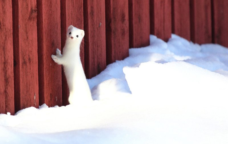 Päivää, olen matkalla yläkertaan.